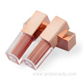 custom private label make up lip gloss